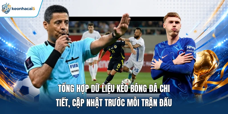 Tổng hợp dữ liệu kèo bóng đá chi tiết, cập nhật trước mỗi trận đấu 