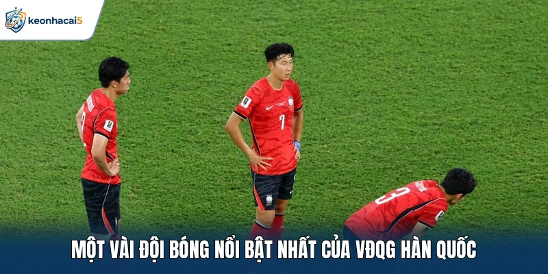 Một vài đội bóng nổi bật nhất của VĐQG Hàn Quốc