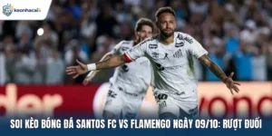 Soi kèo bóng đá Santos FC vs Flamengo ngày 09/10