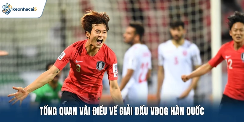 Tổng quan vài điều về giải đấu VĐQG Hàn Quốc